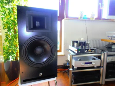 njoylife - Pylon Audio Amber, ma ktoś ? Jakieś opinie? Nie mówię o DIY. #audioboners ...