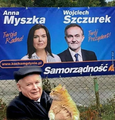 Wykopipowykopie - #humorobrazkowy #polityka