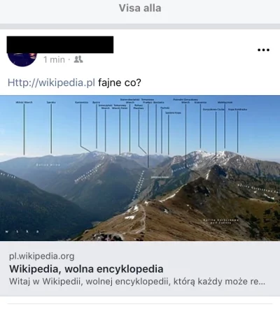 aldrig - @Lk_hc: wrzuciłam na FB status „http://Wikipedia.pl fajne co?” Oto co dostał...