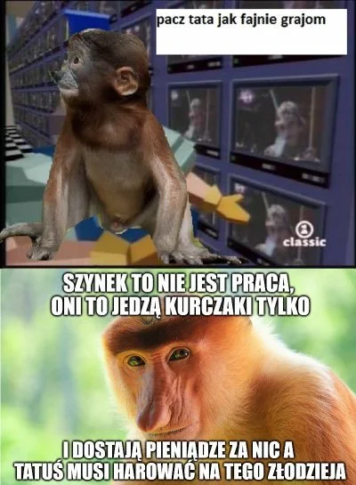 wlepierwot - #muzycznememy #pdk #heheszki #humorobrazkowy #polak #konkursnanajbardzie...