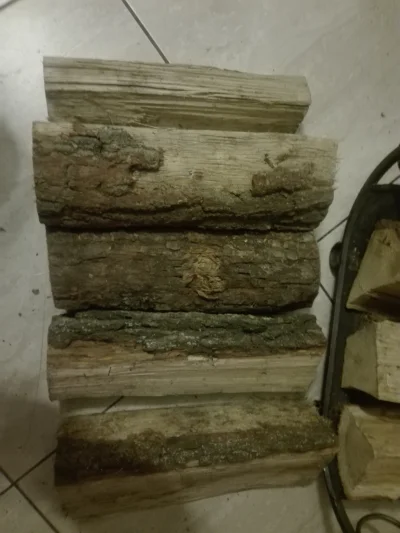 Peleryna - Mirki, co to za drewno? 
#pytanie #pytaniedoeksperta #las #drewno #komine...