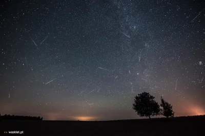 O.....Y - Perseidy 2017. Kiedy i gdzie?

Deszcz Perseidów jest najpopularniejszym i...