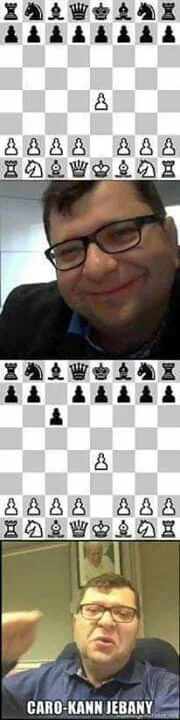 fan_comy - Najdorfy, Smoki, Sycylijki będą wam odbierały smak grania
#heheszki #szach...