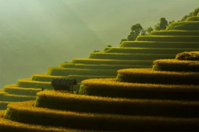 j.....n - Tarasowe pola ryżowe - Wietnam
#earthporn #azja #fotografia