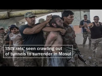 matador74 - Ostatni obrońcy Starego Miasta w Mosulu

#irak
#isis
#bitwaomosul