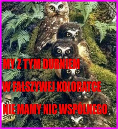 polwes - Ta pani kocha zwierzyniec normalnie ( ͡° ͜ʖ ͡°)