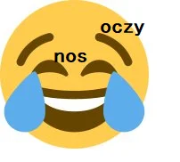 j.....8 - Całe życie w kłamstwie

#heheszki #internet #emoji