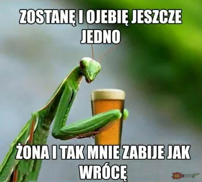 kompotzgrzybuw - Śmieszy mnie