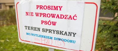 KollA - @PogromcaPatusow: Tia, jak już to trucizn np. glifosatu.