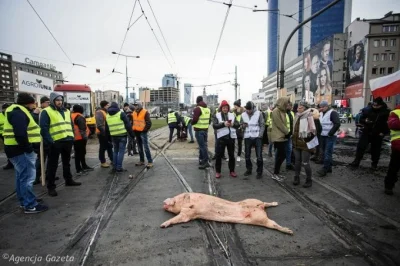 hangover - To zdjęcie idealnie pokazuje jakie z nich są buraki. Zero poszanowania dla...