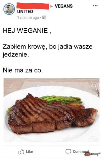 Kacci99 - Bohater XDD
#weganizm #bekazwegetarian #humorobrazkowy #heheszki