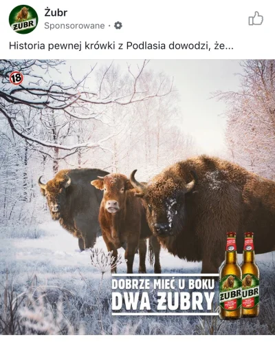 kartofel_mocy - @Lagodnyfalafel: zuberki na funpaga wzięły ( ͡° ͜ʖ ͡°)