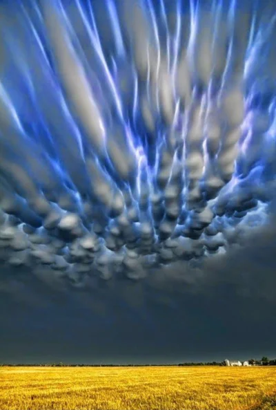 cheeseandonion - Nezwykłe chmury Mammatus nad miejscowością Kłaj koło Krakowa

Fot. M...