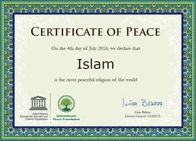 b.....i - @bayonetta112: Islam znaczy pokój i tyle w temacie