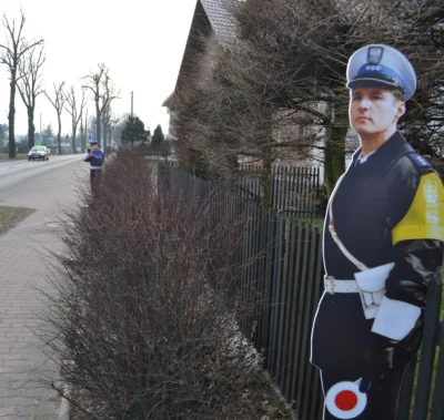 Jelen_Szlachetny - Może takie coś postawić przy aucie?