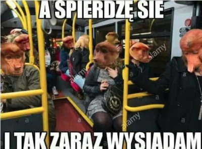 srul2016 - #gruparatowaniapoziomu #polak