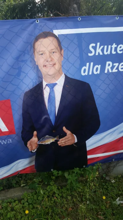 ufoludek-zkosmosu - @kamaszek Co do plakatów wyborczych w Rzeszowie.