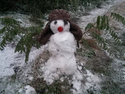 krysztian - Mało napracowania xD
#snieg #zima #balwanboners #balwan