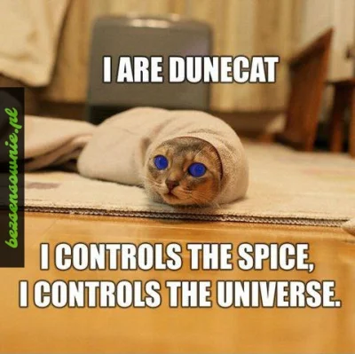 SowiaZmora - @keyah: Dunecat