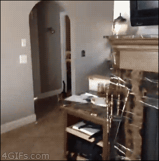 T3R3XD3MAG - #gif #smiesznykotek