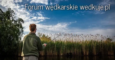pogop - Reakcja forum wedkuje.pl na pastę o ojcu wędkarzu 2012 r.

http://www.wykop...