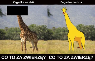 sonars - Rozwiązałem zagadkę z kwejka, ale jestem dobry. 
#humorobrazkowy