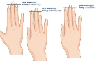 LeonardoDaWincyj - @zosiasamosia1: Proporcje palca wskazującego do palca serdecznego ...