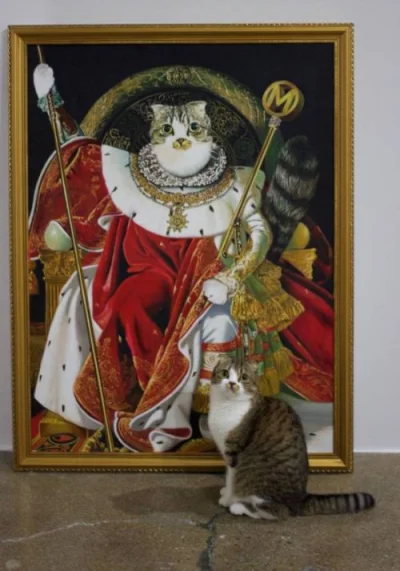 toxa - król koteł, no elo
#smiesznykotek #kotely #kotel #heheszki #humorobrazkowy

...