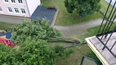 Rick_Deckard - Trzy minuty wiatru i drzewo przeszło do historii. #lublin