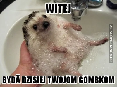 HorribileDictu - #jeze #nigdyniebylo #humorobrazkowy