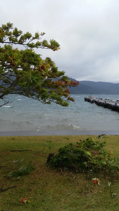 andale - I po tajfunie. Jeziora Towada na szczęście nie wywiało.