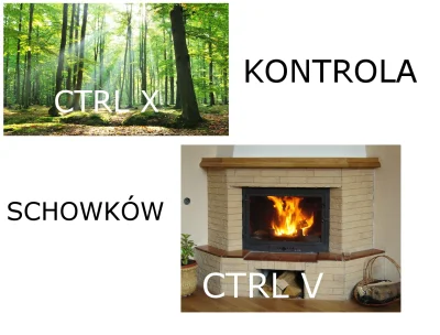 a.....c - Ctrl-A schowków.

#kontrolaschowkow #glupiewykopowezabawy