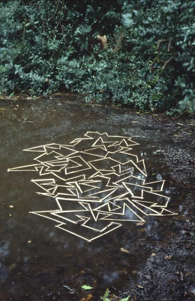 beatha - #landart #art #sztuka
 Hogweed stalks floating on a pond ~ Hampstead Heath, ...