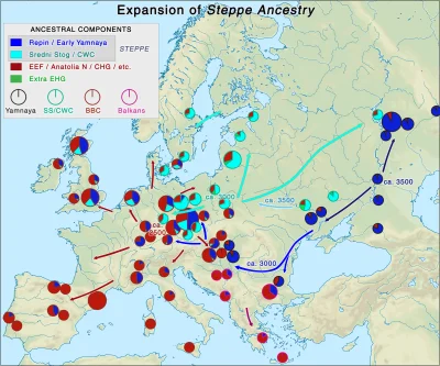 TerapeutyczneMruczenie - Orientacyjna mapa struktur populacji europejskich podczas wi...