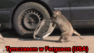 H.....n - xD

#ferguson #czarnyhumor #heheszki #gif #sheeeeeeeeeiiiiiit