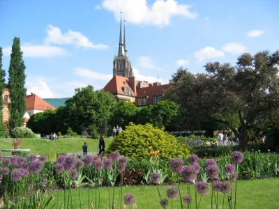 b.....k - #wroclaw #ogrod #ogrodbotaniczny 

Wrocławski ogród botaniczny prawdopodobn...