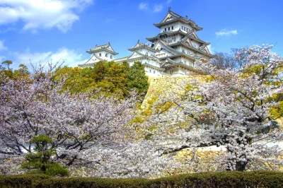 Lookazz - > Himeji Castle, Himeji, Kansai, Japan.

 Himeji castle in almost full cher...