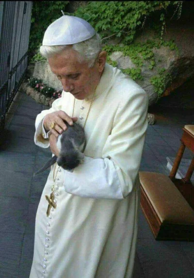 MagisterWiadromonter - Plusujcie Papieża ze słodkim kotkiem (｡◕‿‿◕｡)

#koty