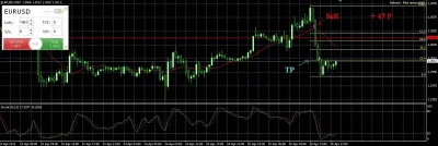 marek_1981 - #forex