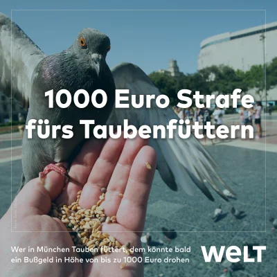 h.....r - 1000€ kary za karmienie gołębi w Monachium a w Polsce jak w lesie, wszystko...