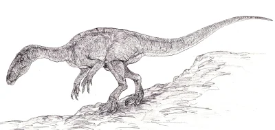 CrazyDino - Poznajcie Velocipes guerichi - pierwszego (historycznie) dinozaura z tery...