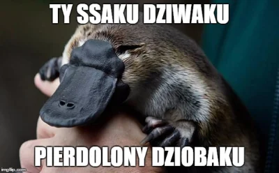 D.....t - #dziobak