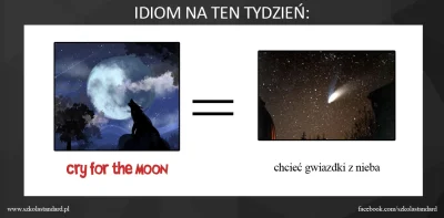 PalNick - #szkolastandard

Be realistic! It's like crying for the moon! We cannot a...