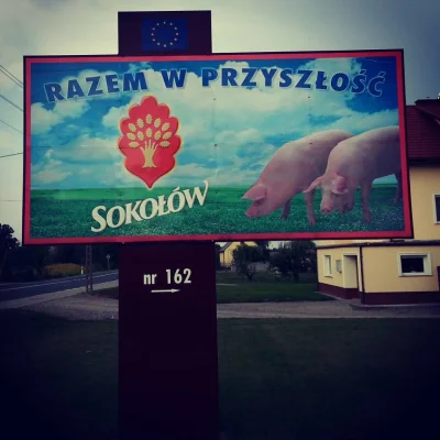 m.....- - Marketingowa odpowiedź Sokołowa #sokolow #siemanko #afera #humor