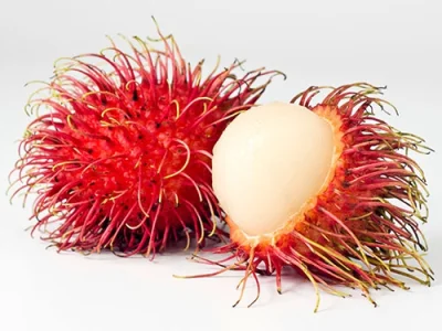 FR90 - @Intergal: rambutan