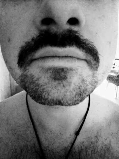 inny_89 - Możesz nie nosić wąsów ale proszę nie nazywaj się wtedy prawdziwym Polakiem...