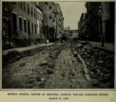myrmekochoria - Ulica Morton zasłana końskimi odchodami, Nowy Jork 1893 rok. 

Ludz...