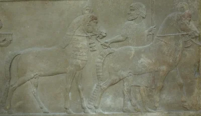 myrmekochoria - Trybut dla Asyrii