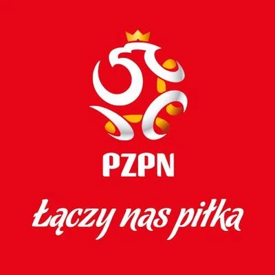 bizonsky - czyli jednak powtórka #reprezentacja #mecz