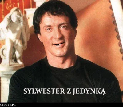 w.....s - #sylwesterzwykopem #sylwesterzjedynka #heheszki #humorobrazkowy